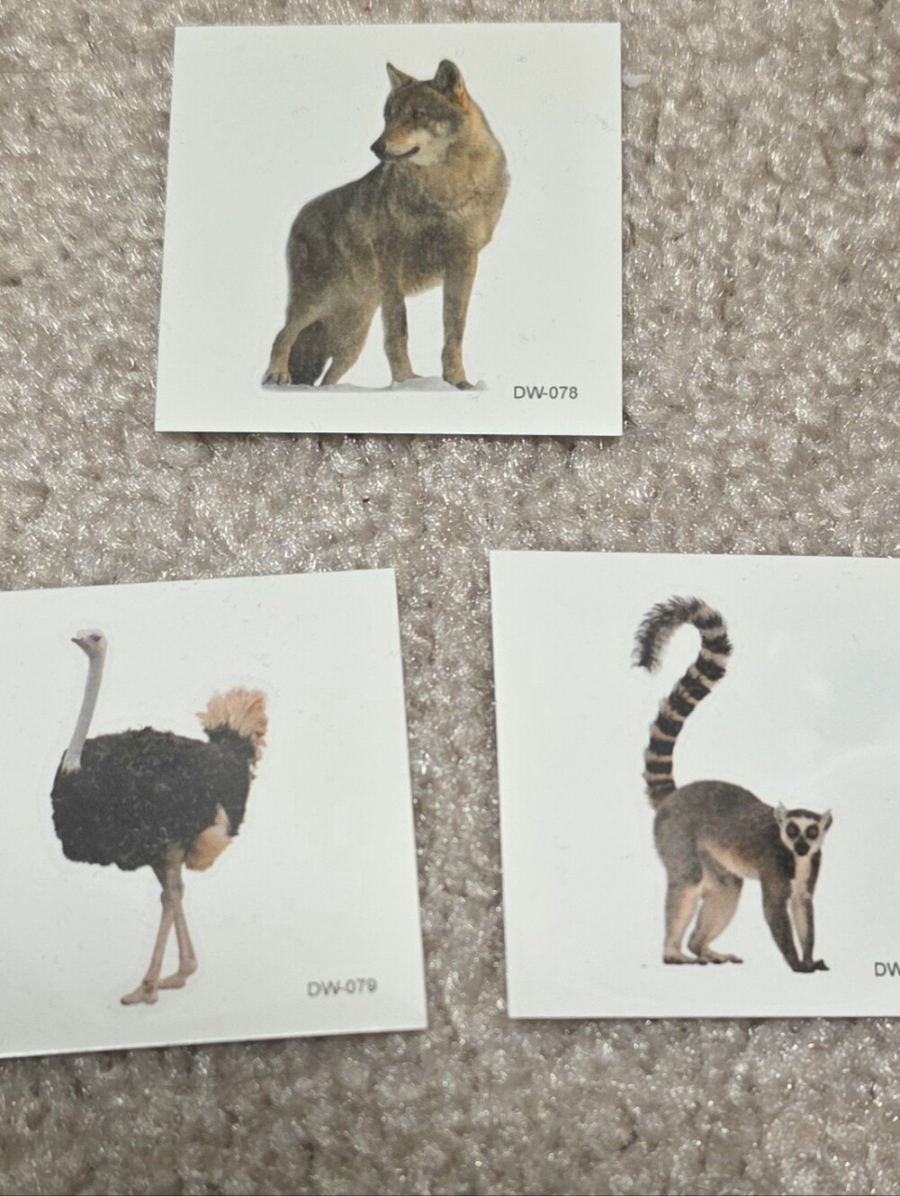 FREE w/ ANY PURCHASE | Wolf, Ostrich & Lemur Temporary Tattoos Set